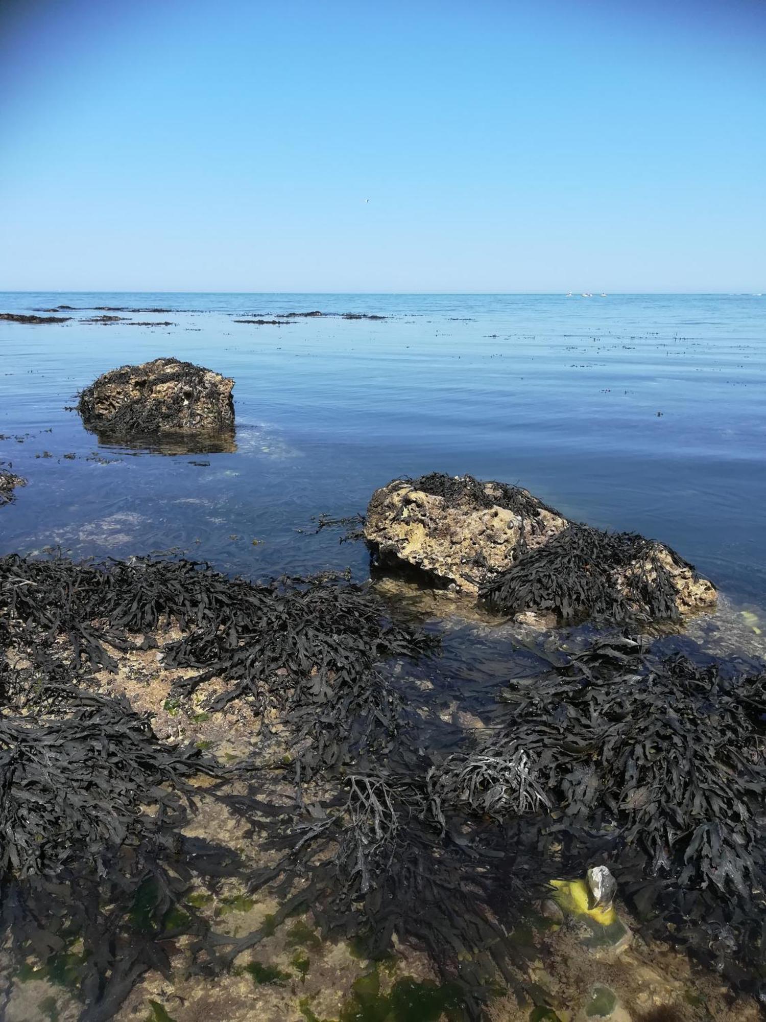 Willa Le Costa Rica En Bord De Mer Fécamp Zewnętrze zdjęcie